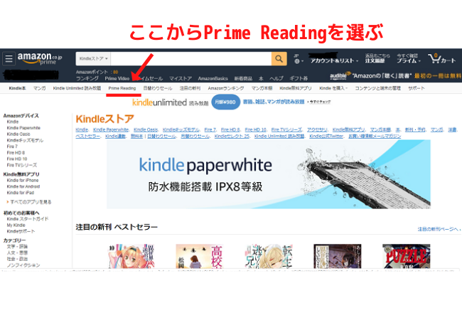 Kindle Store for PC